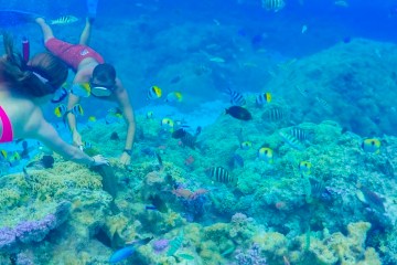 Lagoon Snorkelling Tour