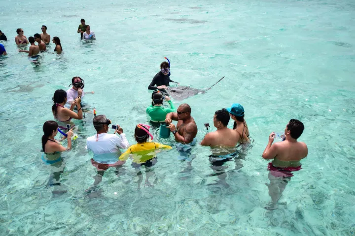 Lagoon snorkelling tour
