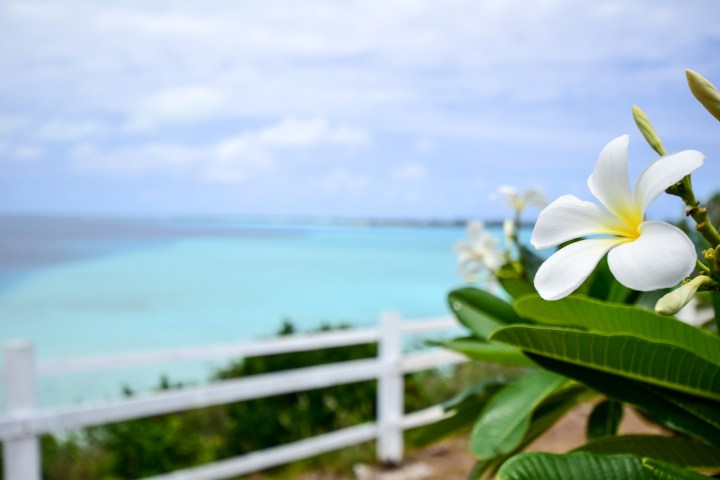 Lagoon snorkelling tour