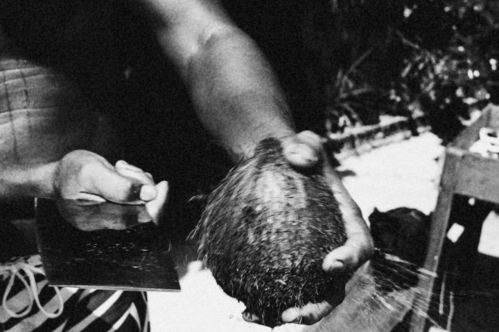 Polynesian History Culture Tour