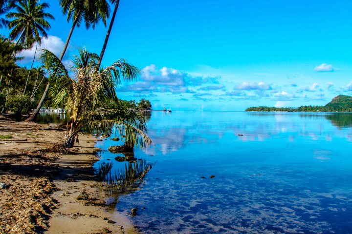Polynesian History Culture Tour