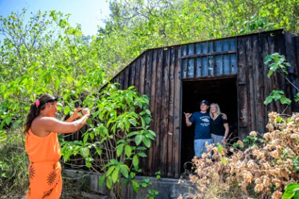 a person standing in a garden