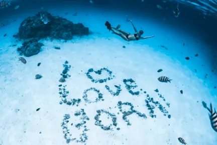 a bird flying over the snow