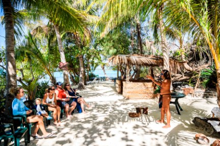a group of people on a beach with a palm tree